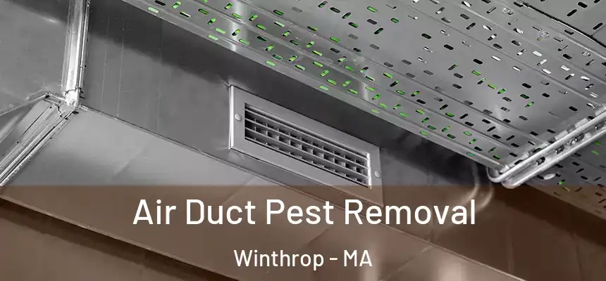  Air Duct Pest Removal Winthrop - MA