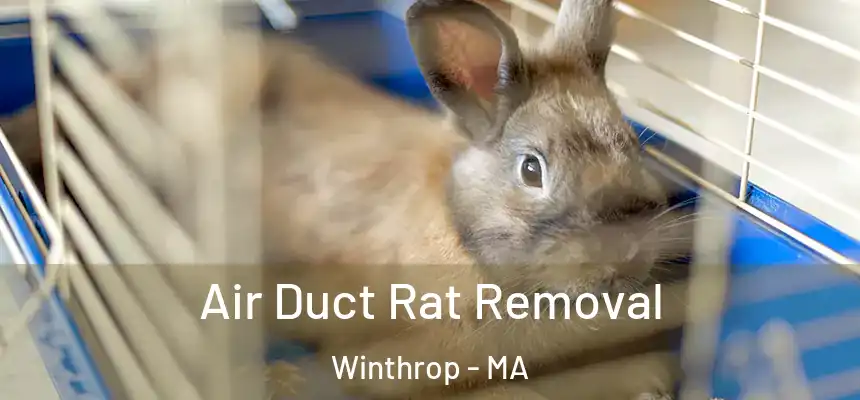  Air Duct Rat Removal Winthrop - MA