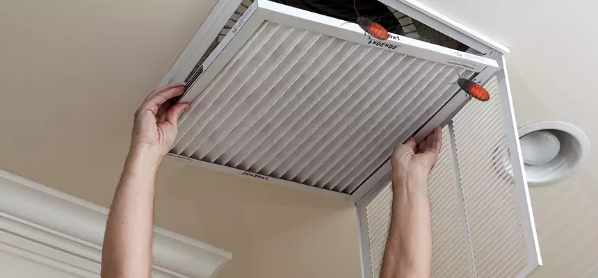 Preventive Cockroach-Proofing for Ducts in Winthrop