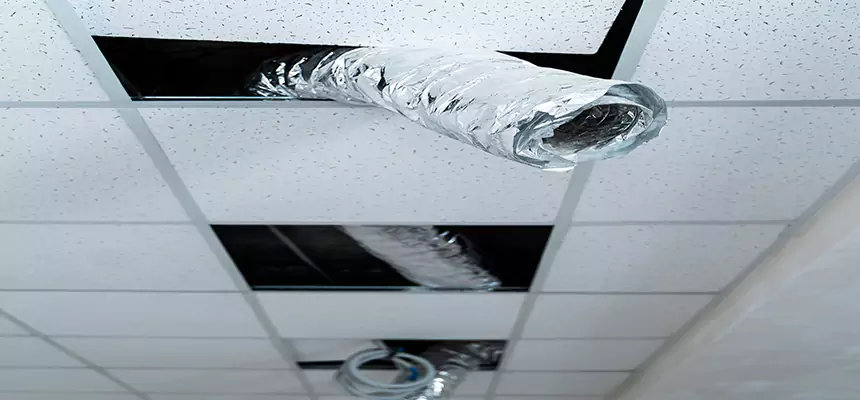 Our Air Duct Pet Hair Removal Services in Winthrop, MA