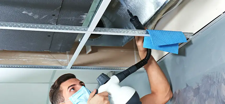 Our Air Duct Rodent Removal Services in Winthrop, MA