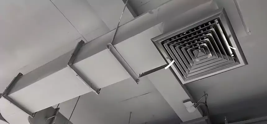 Restorative Allergy Relief Vent Cleaning – Coil, Blower & Housing Detail in Winthrop