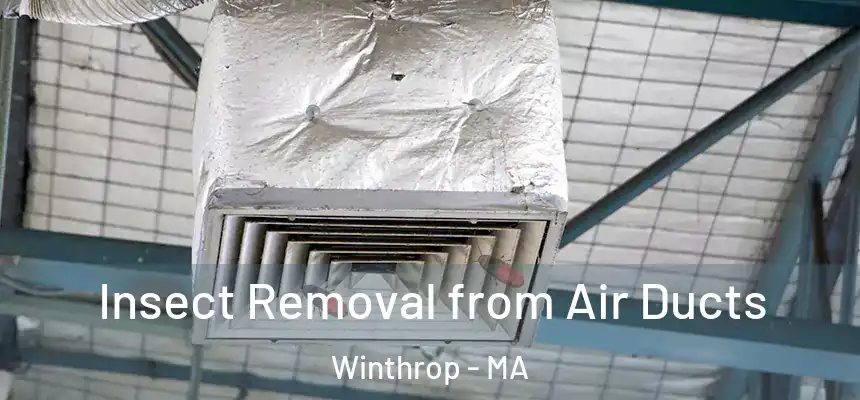  Insect Removal from Air Ducts Winthrop - MA