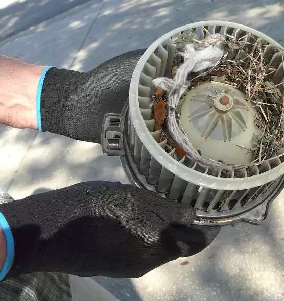 About Air Duct Rat Removal in Winthrop, MA