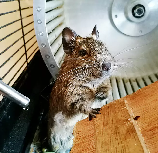 Why Homeowners & Businesses Trust Us Winthrop, MA?