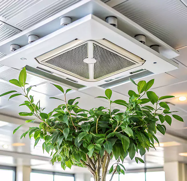 Why Homeowners & Businesses Trust Us in Winthrop, MA